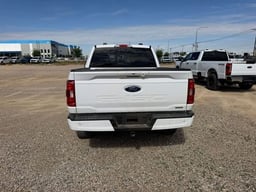 2023 FORD F-150 SuperCrew thumbnail 4
