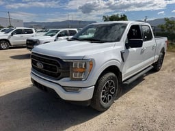 2023 FORD F-150 SuperCrew thumbnail 1