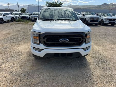2023 FORD F-150 SuperCrew - Image 8